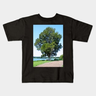 Old Cedar on the Wye River Kids T-Shirt